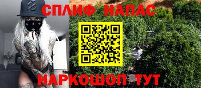 шишки Можайск