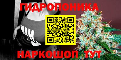 шишки Можайск